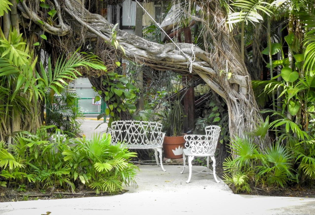 Eco-Hotel El Rey Del Caribe Cancun Exterior photo