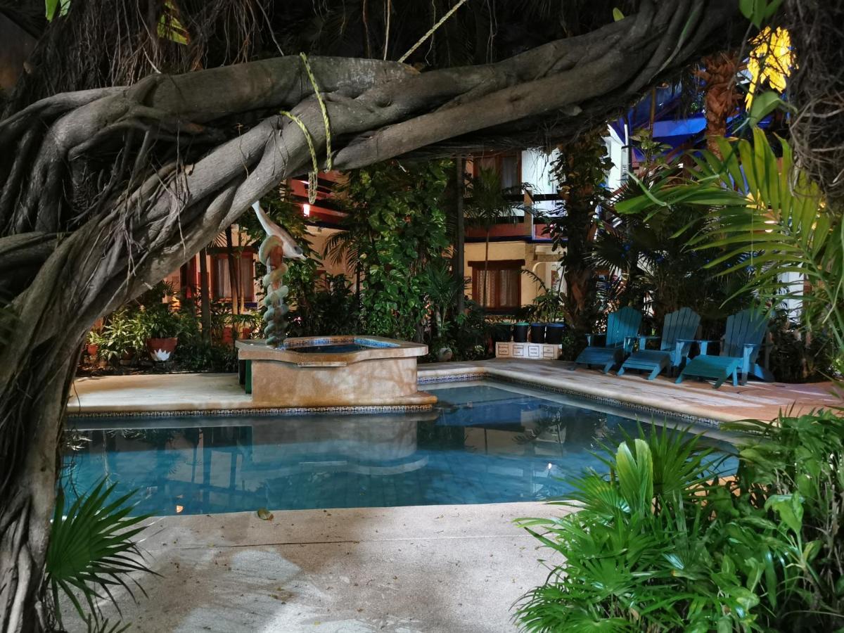 Eco-Hotel El Rey Del Caribe Cancun Exterior photo